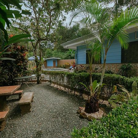 Oasis Diverse Adult Retreat 케포스 외부 사진